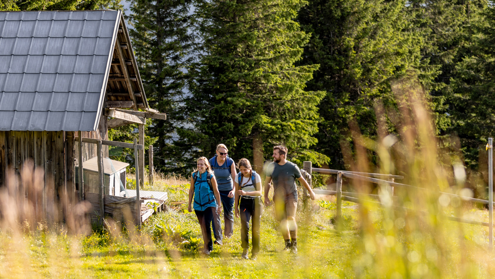 Unterwegs mit ortskundigen Wanderführer