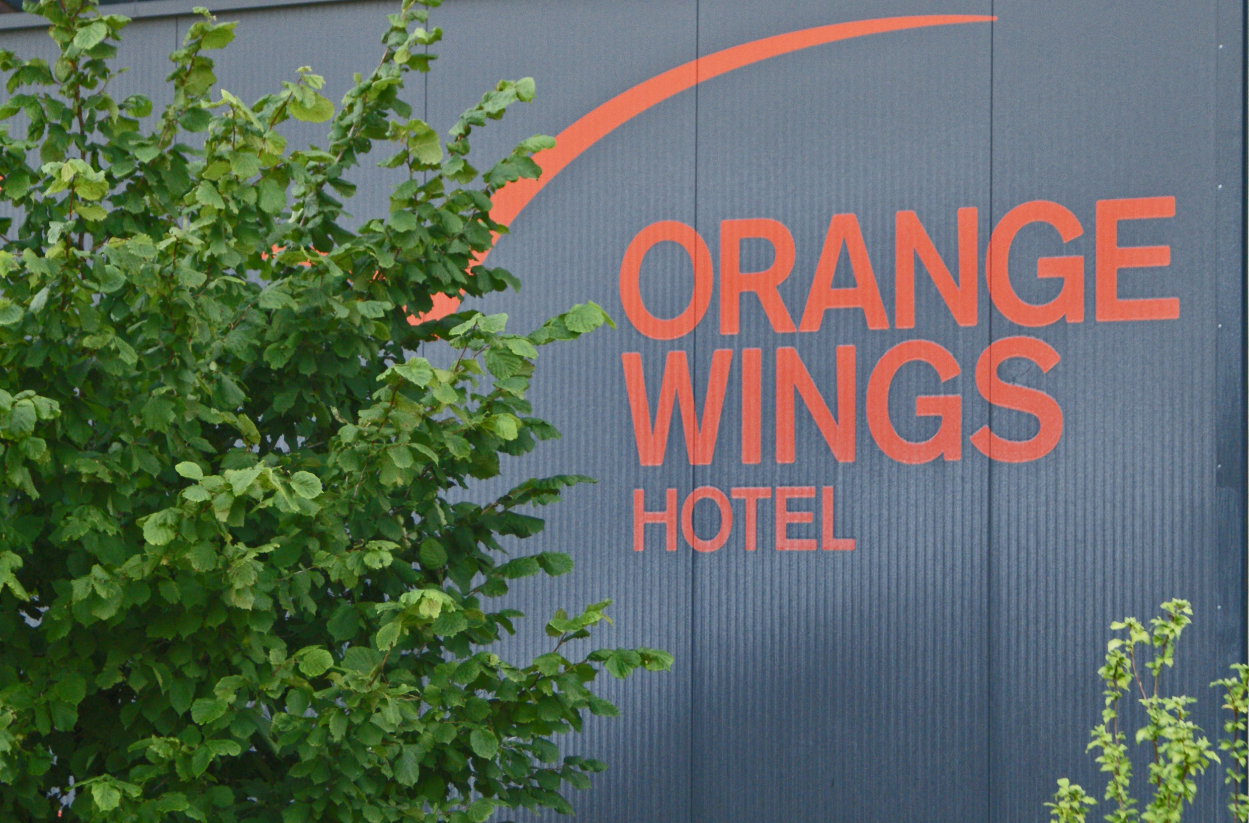 Orange Wings Logo