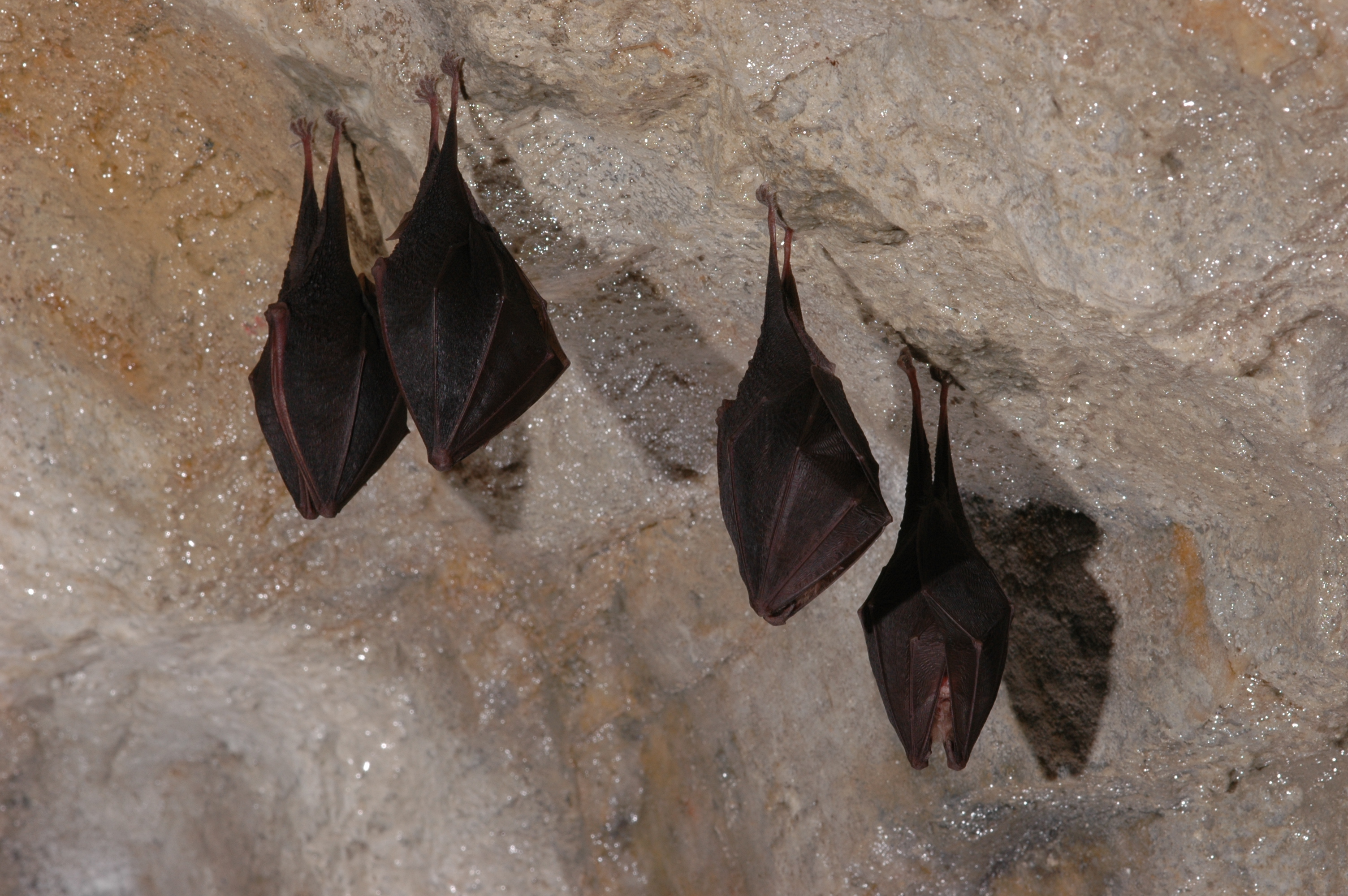 Hermannshöhle