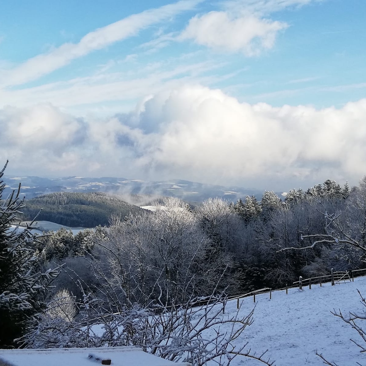 Ausblick 