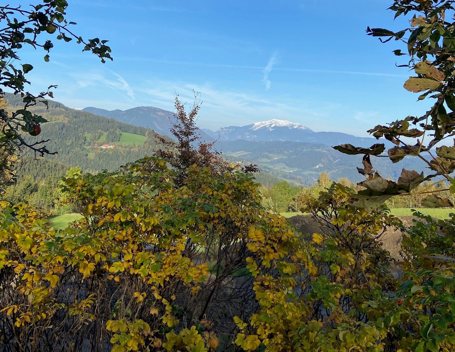 Blick zum Schneeberg direkt vom Haus 