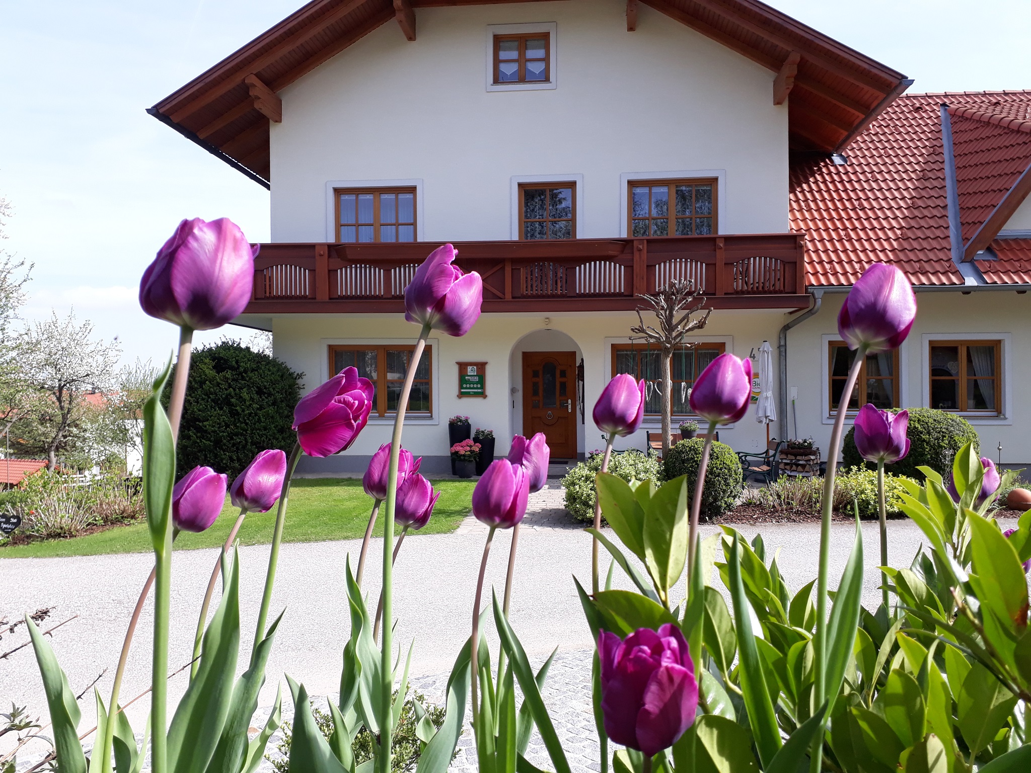 Bauernhof Dissauer Familie Rosinger