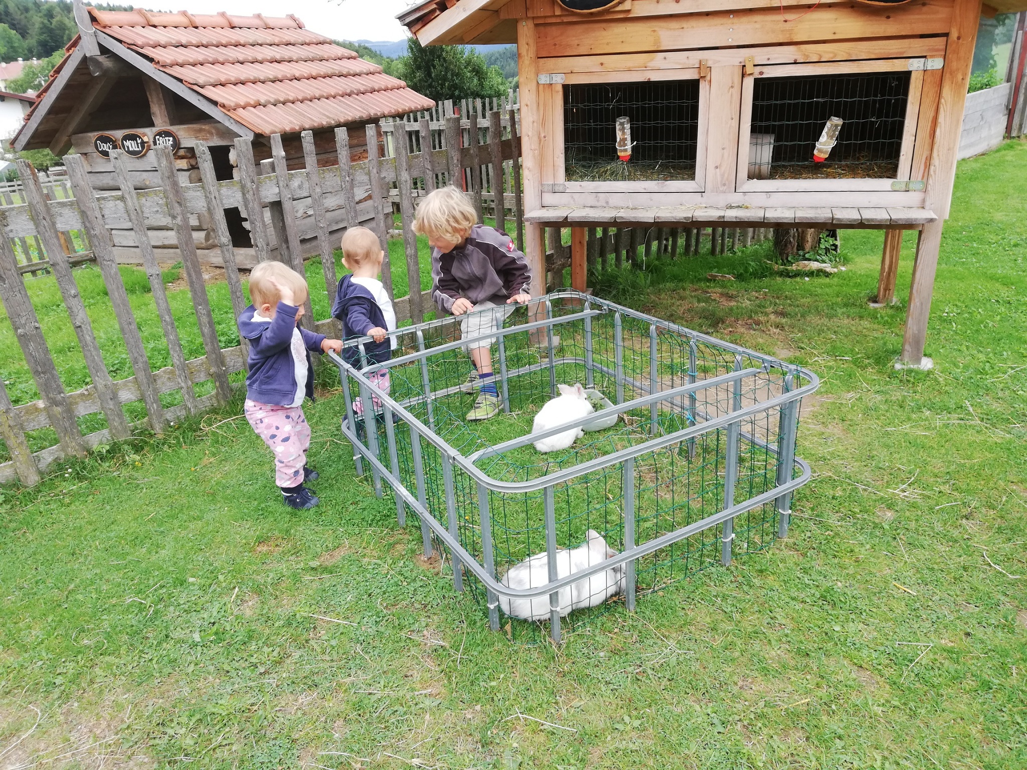 Tiere ganz nah erleben...