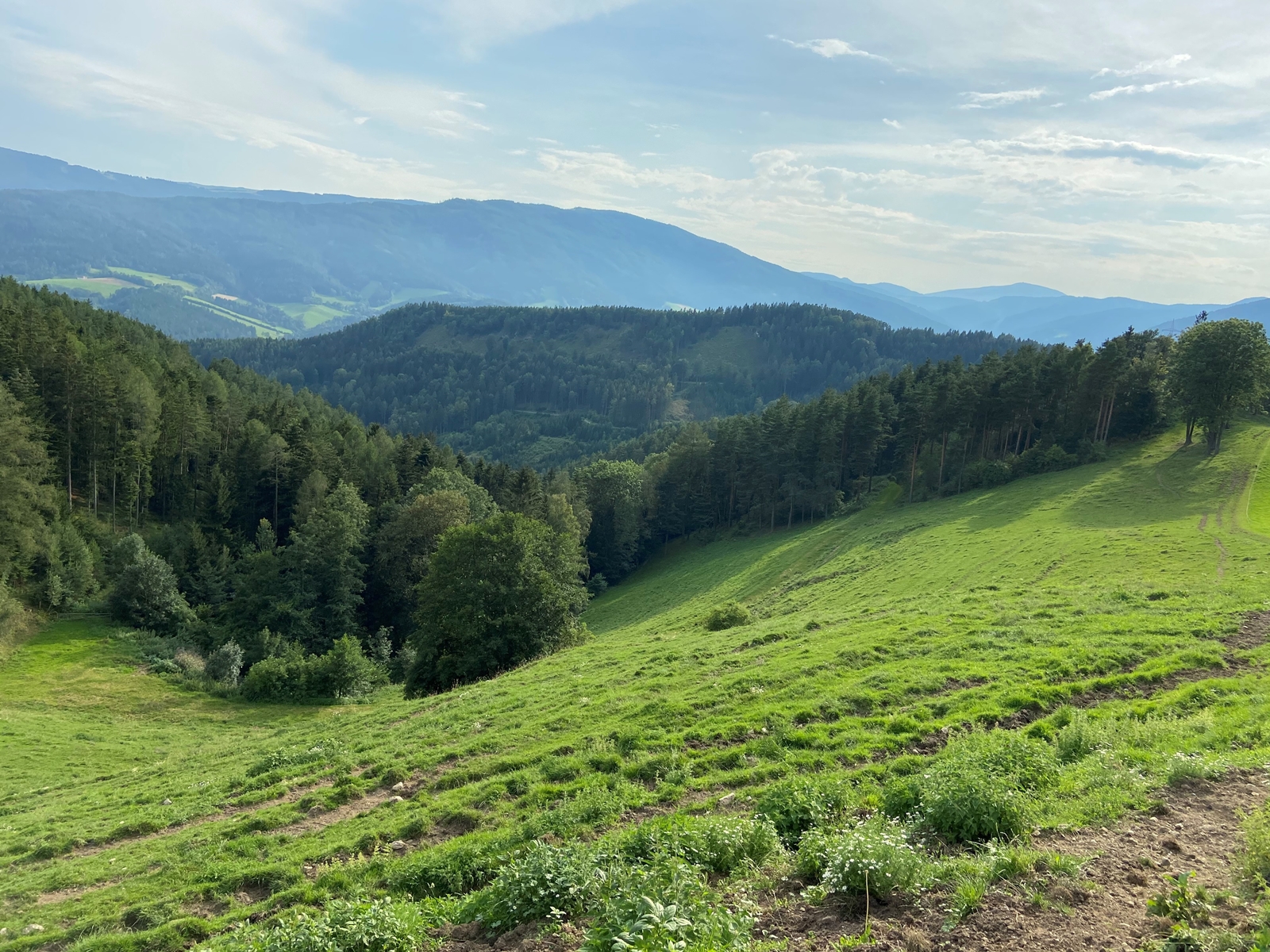 Aussicht vom Bauernhof 