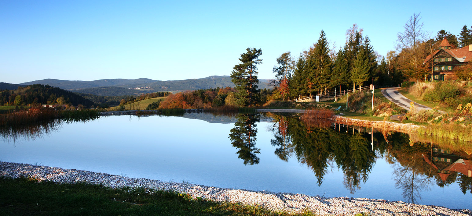 NaturSinne Teich