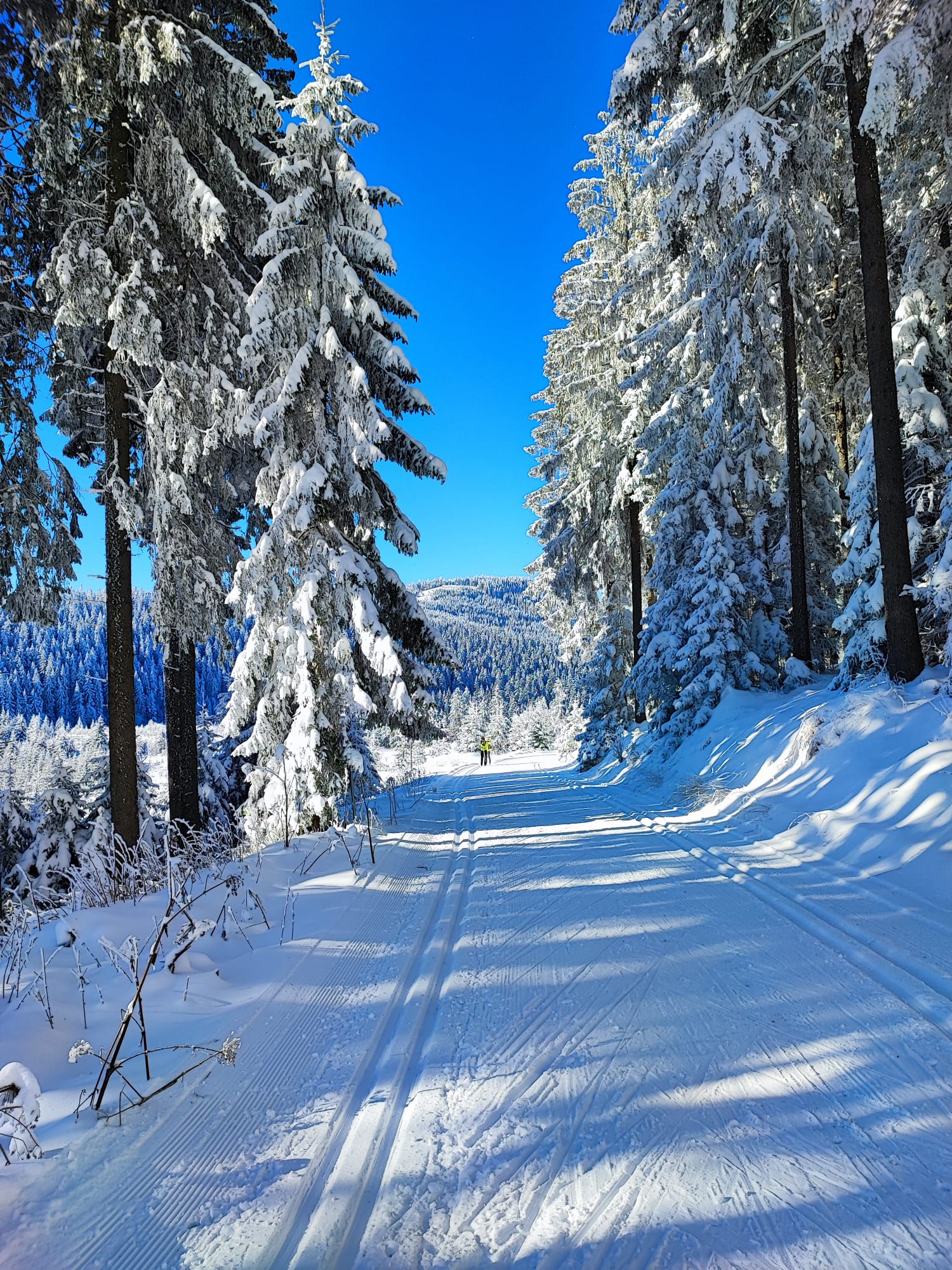 Wechsel-Panoramaloipe